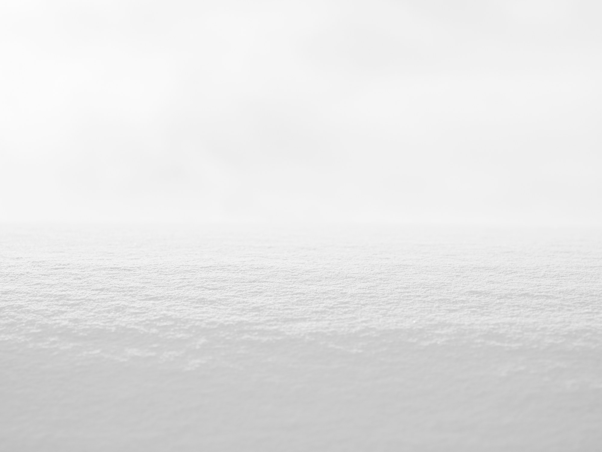 在りて、在らざるもの ── 雪界